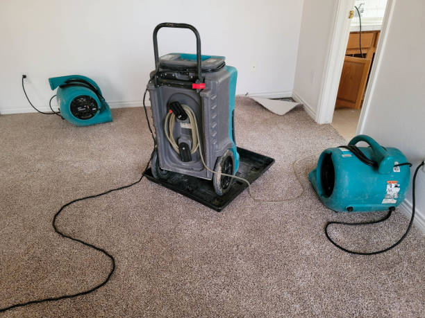 Best Ceiling water damage repair  in Southern Pines, NC