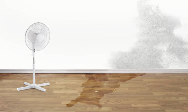 Best Water damage cleanup near me  in Southern Pines, NC