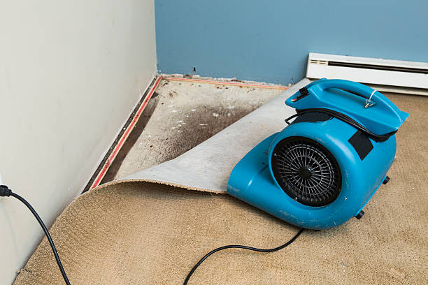 Best Residential water damage restoration  in Southern Pines, NC